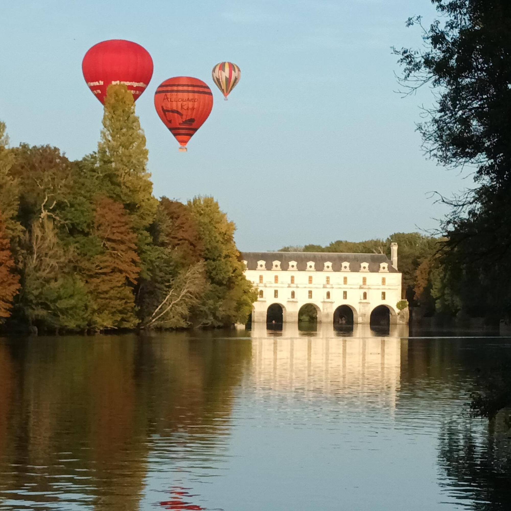 Au Nom Des Dames, Maison Et Table D'Hotes, Pres De Chenonceau Et Du Zoo De Beauval Faverolles-sur-Cher Ngoại thất bức ảnh