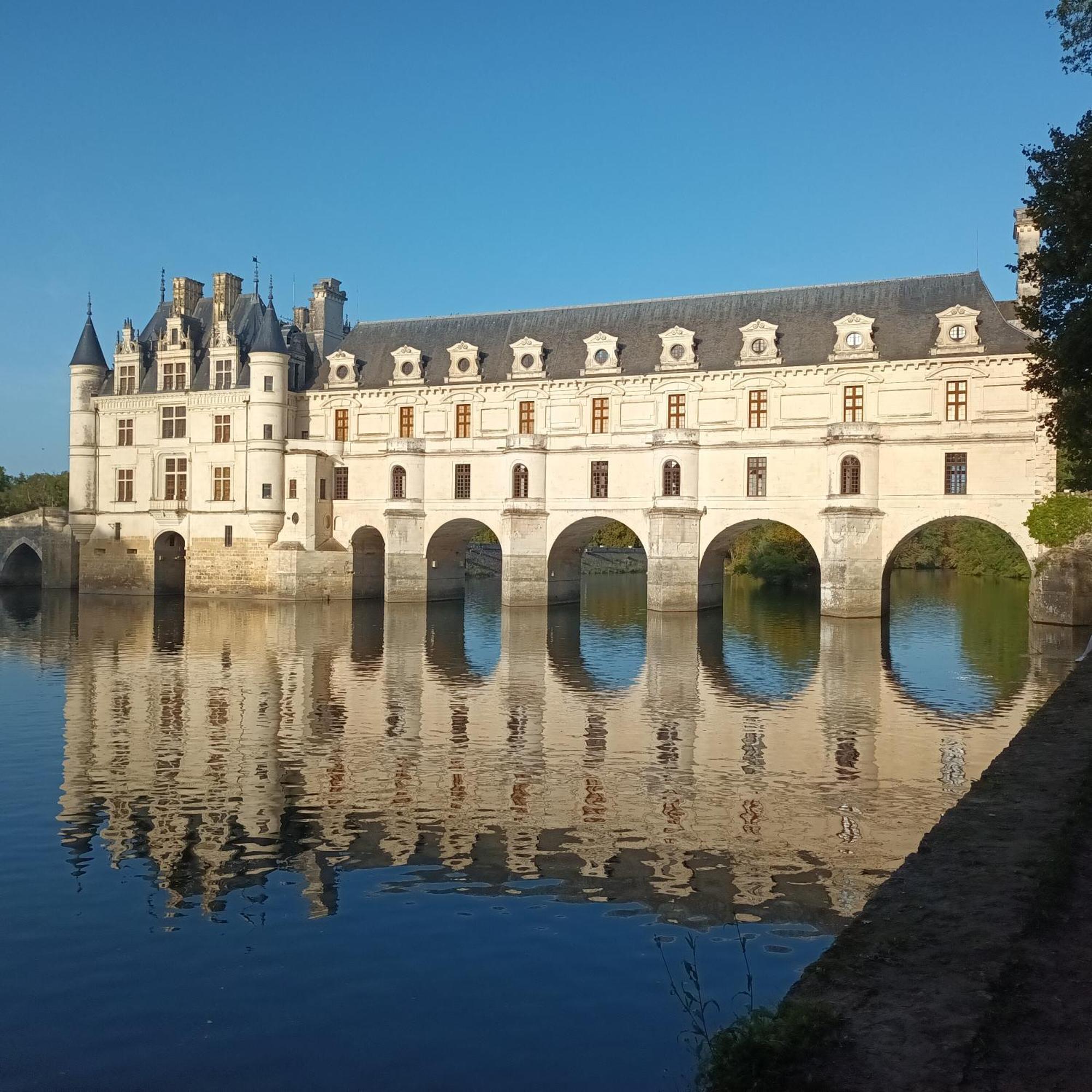 Au Nom Des Dames, Maison Et Table D'Hotes, Pres De Chenonceau Et Du Zoo De Beauval Faverolles-sur-Cher Ngoại thất bức ảnh